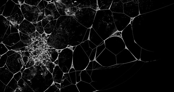 蜘蛛网使用黑色背景图片下载