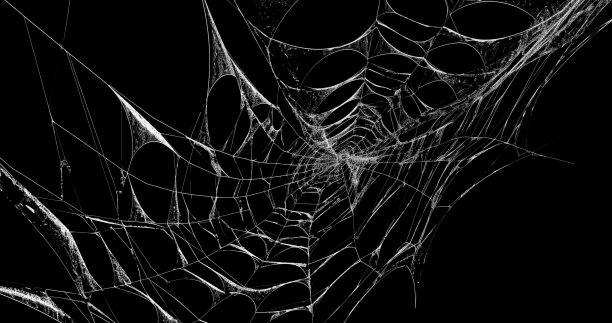蜘蛛网使用黑色背景图片下载