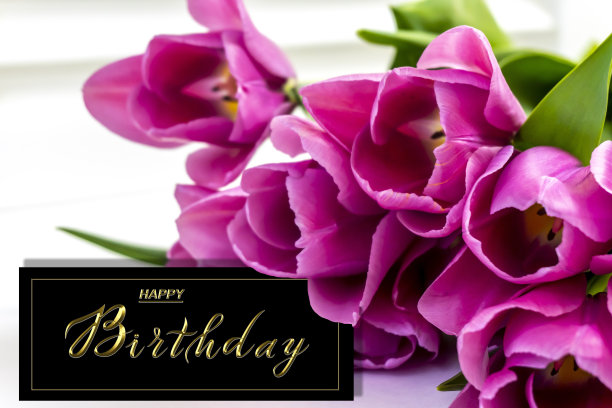 送给女士或女孩的漂亮的生日贺卡，上面有花图片下载