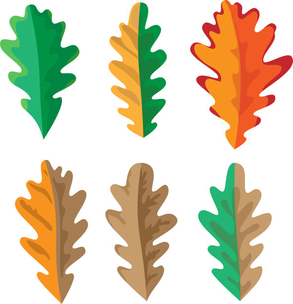 橡树叶矢量素材图片下载