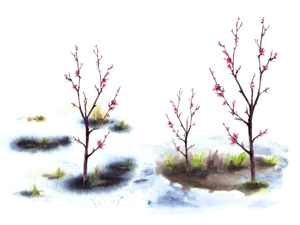 初生花朵，春暖花开的树木，融化的雪景手绘水彩山水插画图片下载