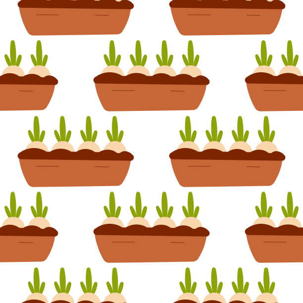 盆栽土洋葱果种植家庭菜园图片下载