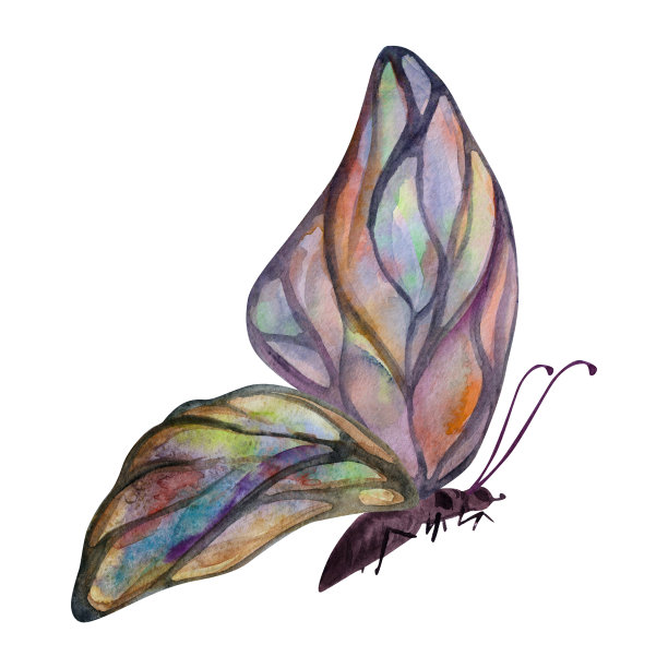 手绘水彩插画蝴蝶仙女翅膀宝石水晶虫蛾。碧玺珍珠拉布拉多石蛋白石。白色背景上孤立的单一物体。设计印刷，商店，婚礼，生日图片下载