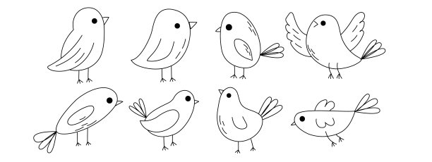 手绘涂鸦鸟在白色的背景图片下载