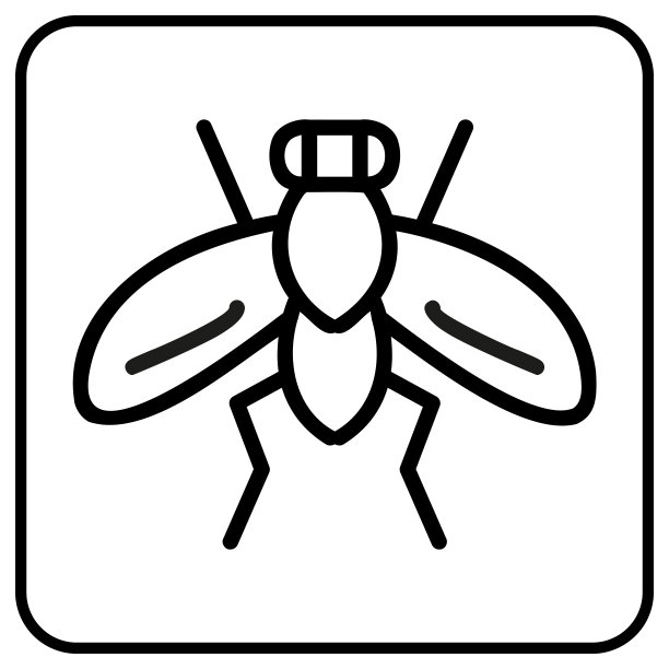 昆虫对汽车矢量图标图片下载