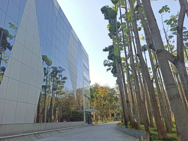 软件园一座现代玻璃建筑的特写照片图片下载