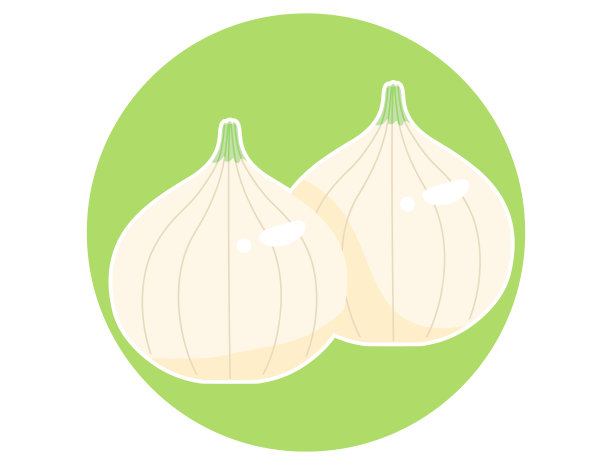 简单的洋葱插图图片下载