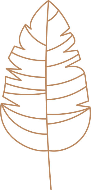 插画元素在空白背景上图片下载