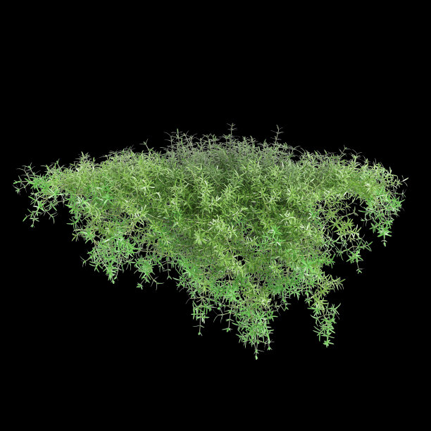 悬挂植物的三维插图，在黑色背景上孤立的芦笋图片下载