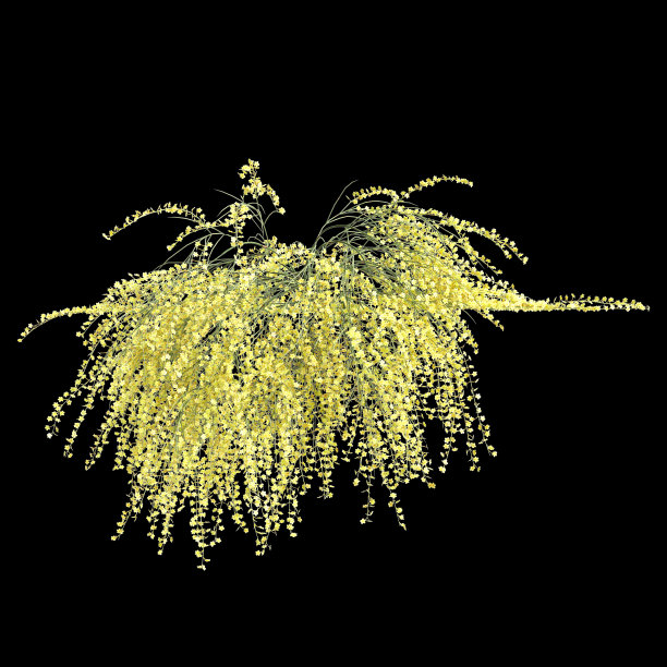 在黑色背景上分离的悬挂植物茉莉三维插图图片下载