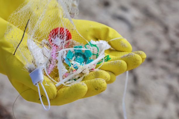 一名研究人员戴着手套，拿着被冲到海滩上的小块塑料污染的特写照片，突显了海洋环境中塑料污染的持续问题图片下载