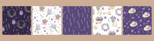 一套无缝图案与薰衣草花。矢量图形。图片下载