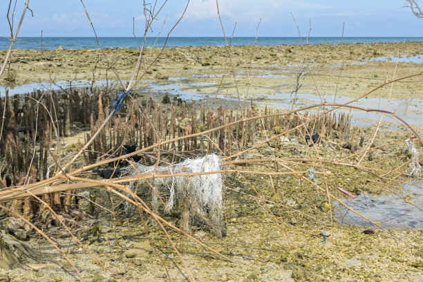 塑料垃圾卡在树根-库存照片图片下载