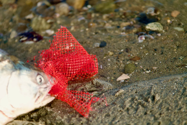 海洋中的塑料概念图片下载