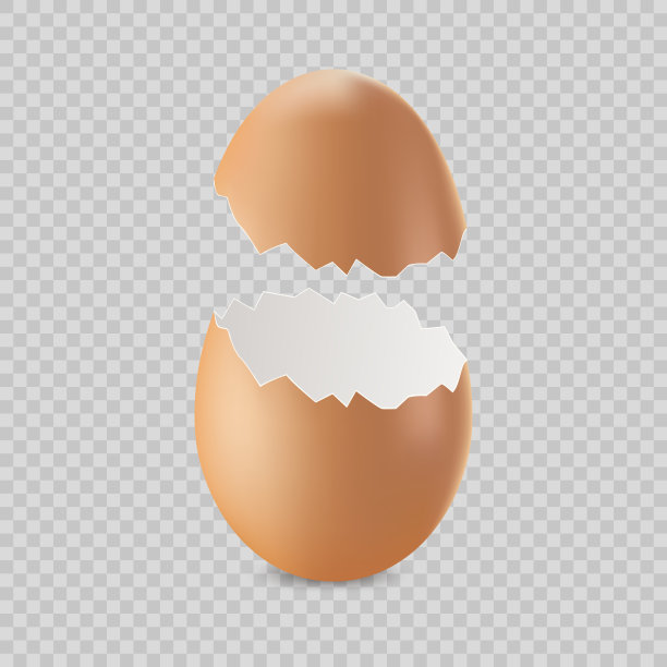 白色破碎或破裂现实向量棕色蛋壳图片下载