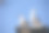 两只海鸥站在路灯上图片下载