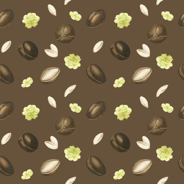 无缝模式的坚果，水果，种子和花朵在棕色的背景。水彩插图。水疗、美容、身体和头发护理、精油、面部美容油。纺织品图片下载