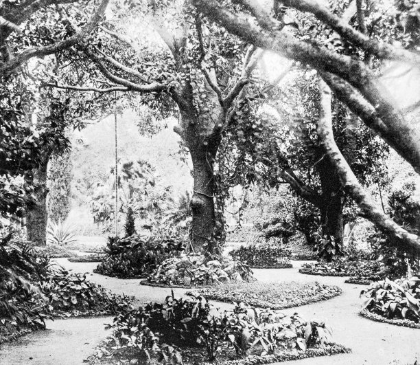 1895年印度的人物和地标:班加罗尔的拉尔巴格图片下载