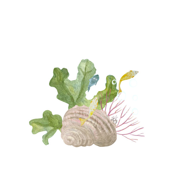 水彩画组成水下生物孤立的白色图片下载