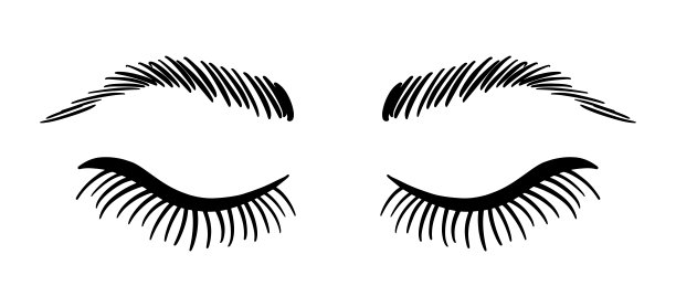 假睫毛插图。女性睫毛扩展草图图标图片下载