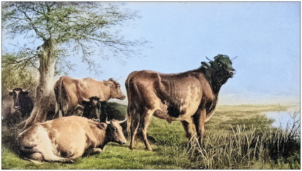 古董绘画照片:风景图片下载