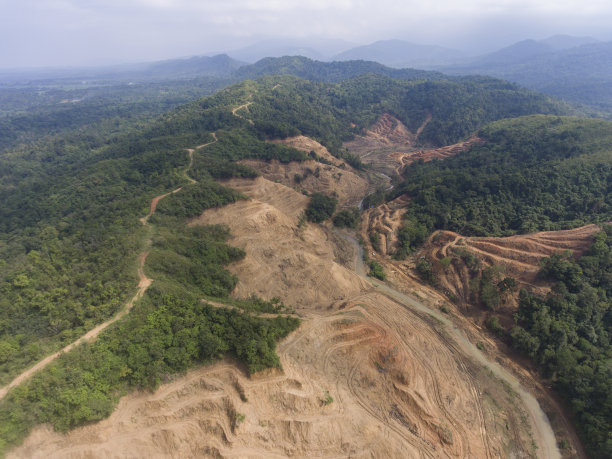 热带雨林砍伐鸟瞰图-库存照片图片下载