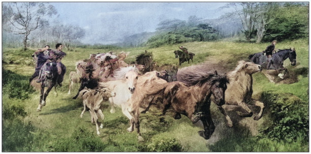 古色古香的绘画照片:户外动物图片下载