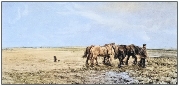 古色古香的绘画照片:户外动物图片下载