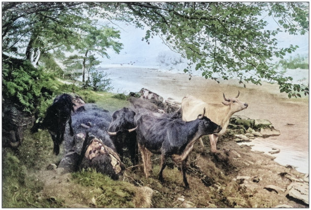 古色古香的绘画照片:户外动物图片下载