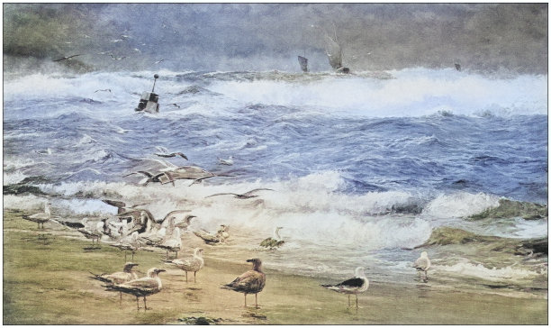 古董绘画照片:风景图片下载