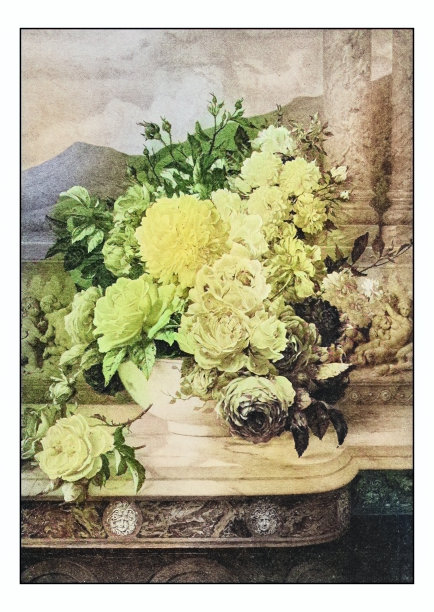 古董画照片:玫瑰图片下载