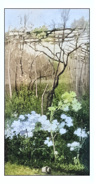 古董绘画照片:自然图片下载