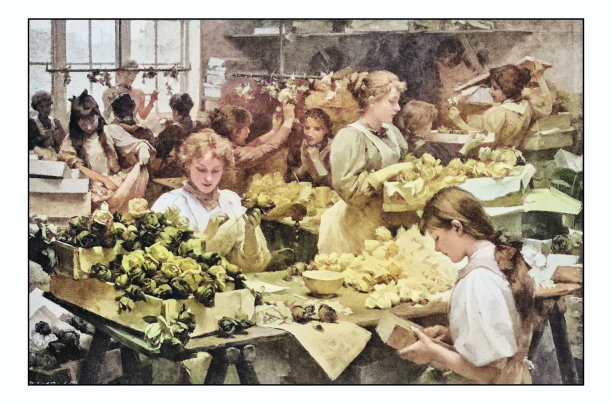 古董画照片:花匠图片下载