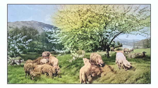古董绘画照片:威尔士果园图片下载