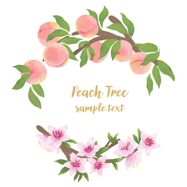桃花和水果框架插图图片下载