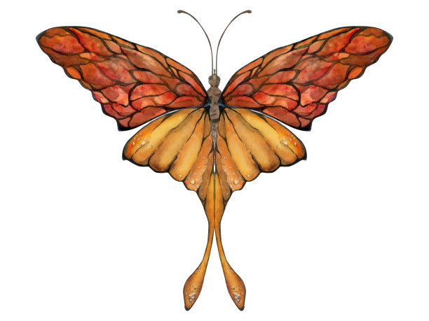 手绘水彩插画蝴蝶仙女翅膀宝石水晶虫蛾。琥珀石榴石，太阳石玛瑙红宝石。白色背景上孤立的单一物体。设计印刷，商店，婚礼，生日图片下载