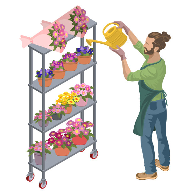 一个年轻人照顾植物。等距矢量图。图片下载