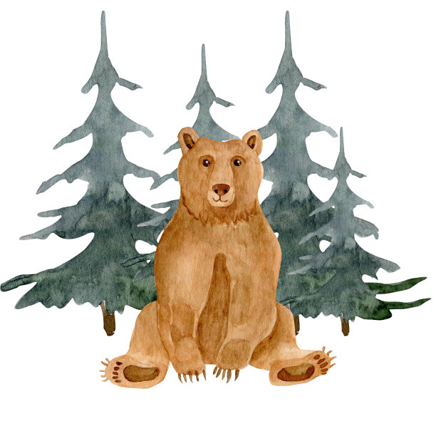 水彩熊插图。熊和圣诞树在森林里，造型熊。孤立的森林动物和松树的插图图片下载