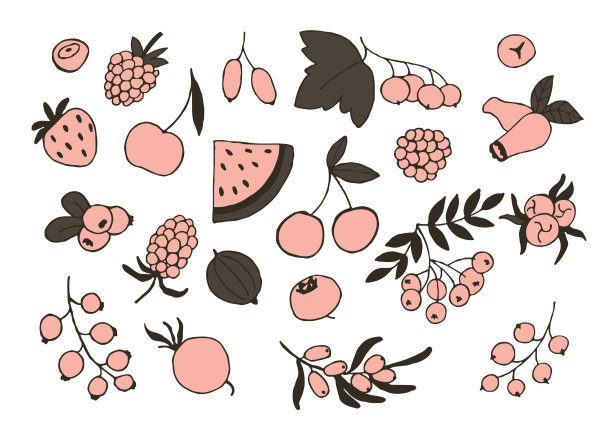 一套新鲜多汁的浆果。夏季采集的浆果。亮卡搭配夏季天然产品。素食。完美的白色。一套多汁水果图标。矢量插图。图片下载