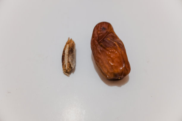 白底带籽的干枣图片下载