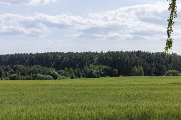 谷物业务在东欧增长图片下载