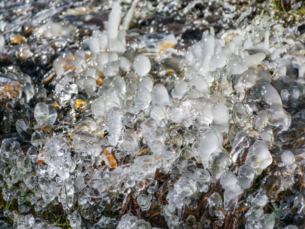抽象的图片，冰块拥抱草和树根图片下载