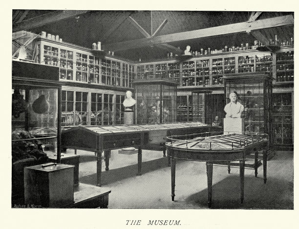19世纪90年代，英国汉普郡戈斯波特，哈斯拉皇家海军医院医学博物馆，《保健史》图片下载