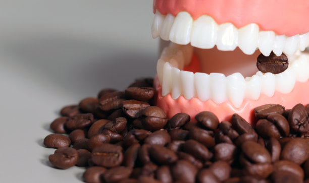 模型牙间的咖啡豆。图片下载