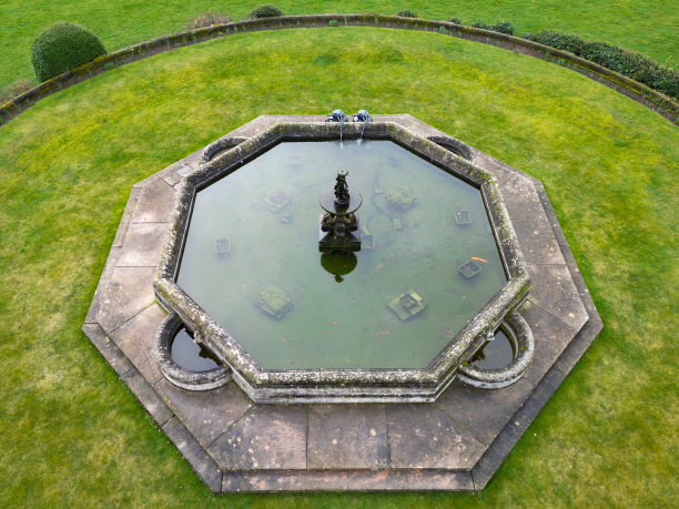 无人机拍摄的一个大而华丽的池塘，上面有一对又大又老的锦鲤。图片下载