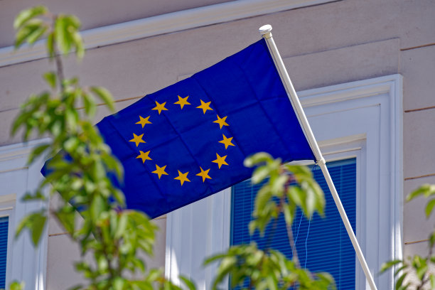 在斯洛文尼亚小镇历史建筑的正面仰望欧盟蓝黄旗。图片下载