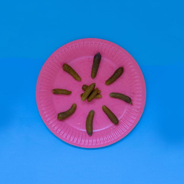 泡菜在一个粉红色的盘子孤立的彩色照片图片下载