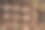 温室里盆栽的仙人掌图片下载