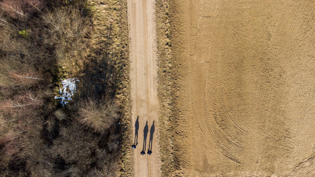 观察早春，这张照片显示了三个人沿着田野的小路行走，他们的影子，俯视图。图片下载