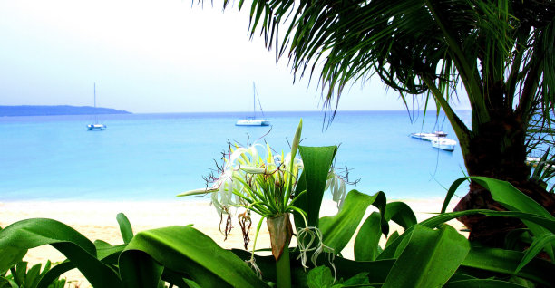 宫古岛的海滩。日本冲绳县。图片下载